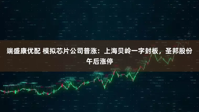 端盛康优配 模拟芯片公司普涨：上海贝岭一字封板，圣邦股份午后涨停