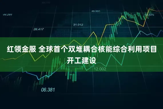 红领金服 全球首个双堆耦合核能综合利用项目开工建设