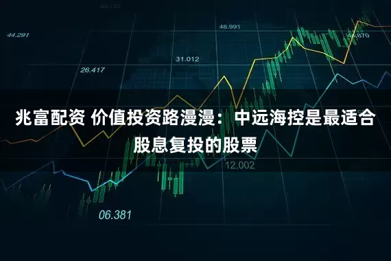 兆富配资 价值投资路漫漫：中远海控是最适合股息复投的股票